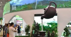 2020年6月18日-22日唐山国际茶业博览会暨紫砂展
