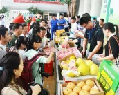 第二十届山东果蔬博览会将于11月在烟台盛大举行