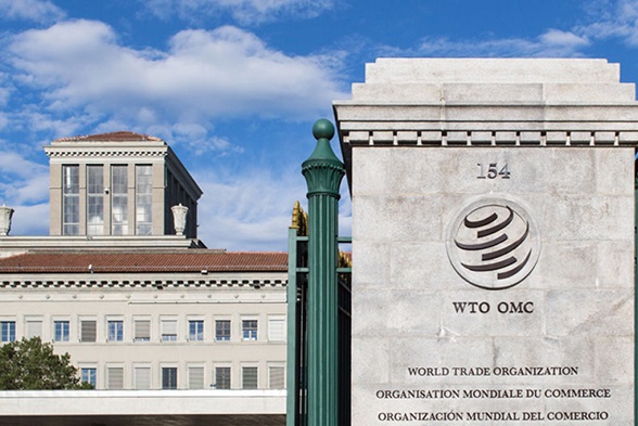 WTO：新冠疫情影响下限制贸易新措施大幅减少