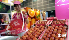 亚洲食品与果蔬展集产品展示、采购、贸易配对于一体