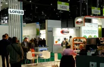 在2019亚洲国际营养保健食品展,探索亚洲营养保健食品市场