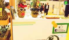 亚洲国际果蔬展览会将于11月在新加坡举行