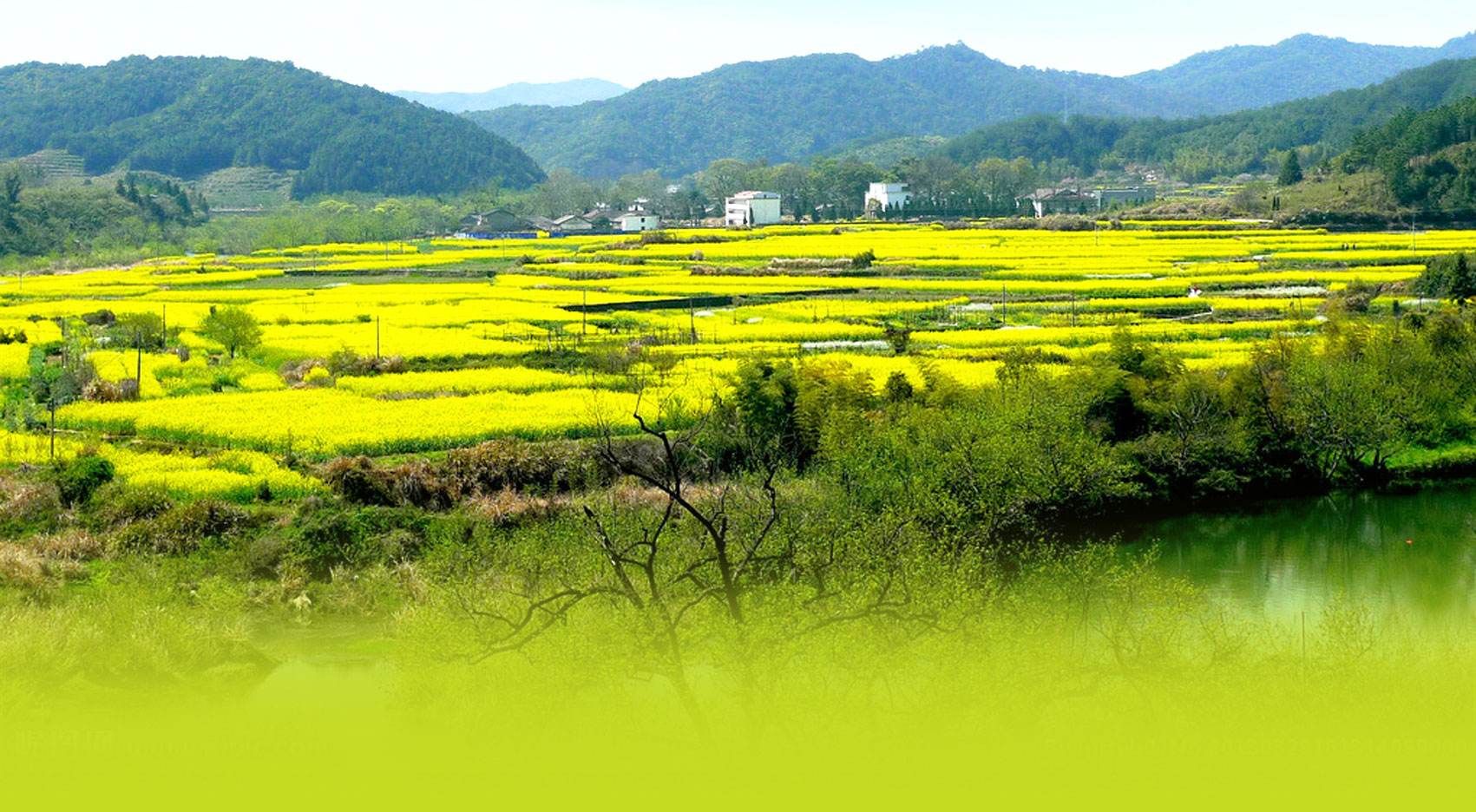 乡村“旅游盛宴”还需创新来“掌勺”