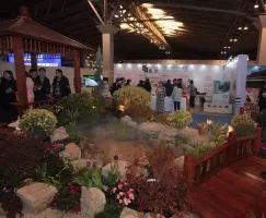 最in最国际的花园展会1月来上海，专为花园人而设