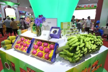 直播带货、电商专区，今年东博会农业展放大招！