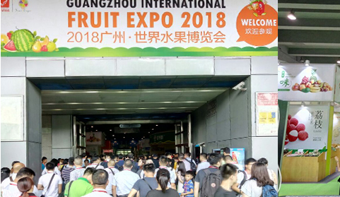 鲜果荟萃：2019广州·世界水果博览会