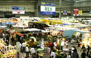 日本东京花卉展览会IFEX敬请期待