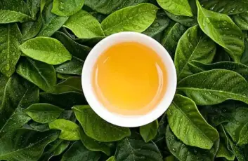 第十一届湖南茶业博览会：百企竞相入驻线上茶博会