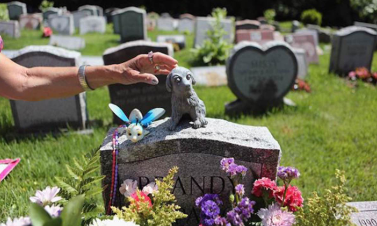 殡葬服务行业市场现状及发展前景分析