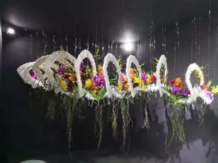 第十三届中国（三亚）国际热带兰花博览会将跨年举行