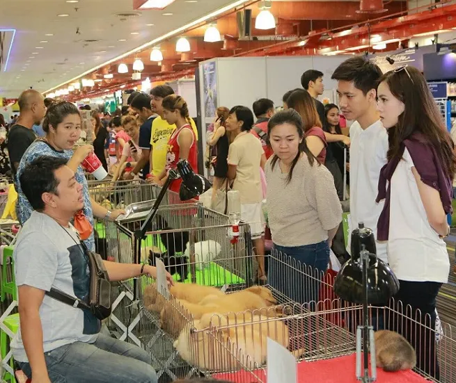 泰国曼谷宠物用品展览会