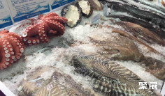 越南多家企业参加第27届布鲁塞尔水产展